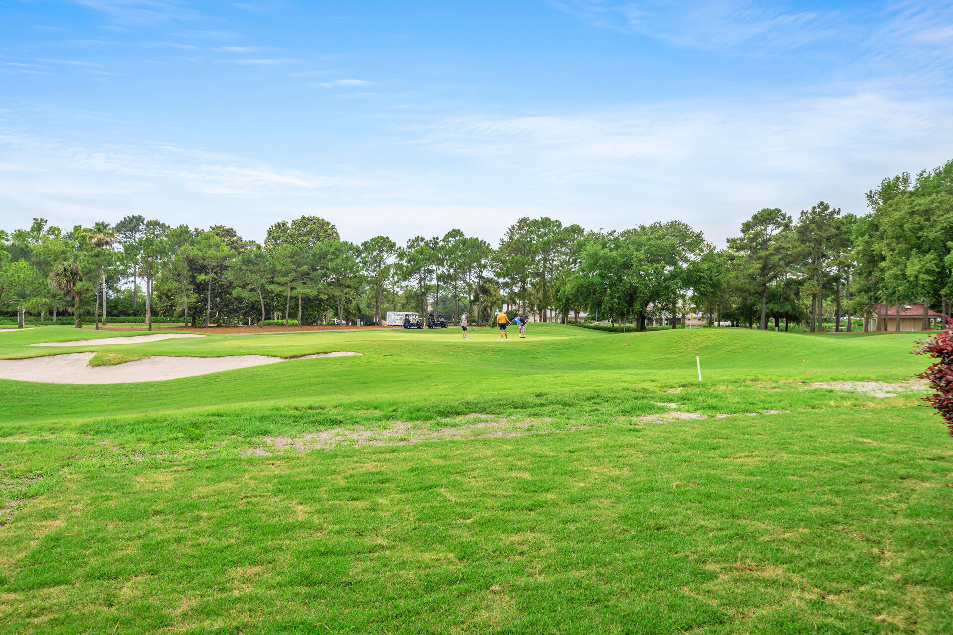 5357 Pine Ridge Lane, Unit 5357 Miramar Beach, FL 32550 - Photo 44 of 53 a view of a big yard with a large trees