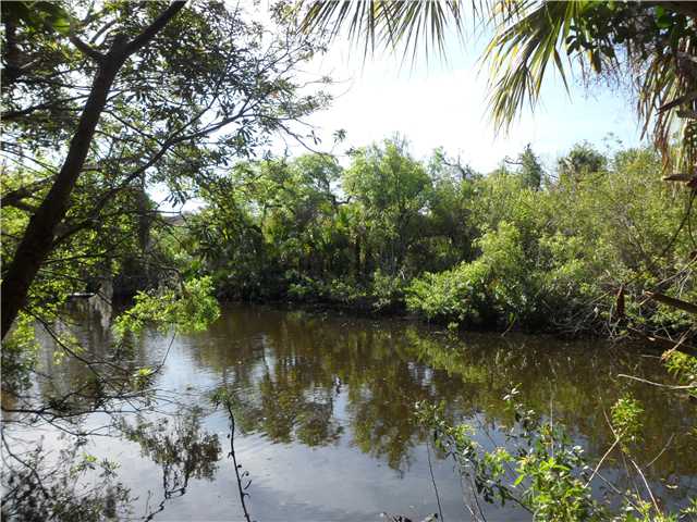 Valkaria Road Malabar, FL 32950 - Photo 4 of 8 a view of a lake with a tree