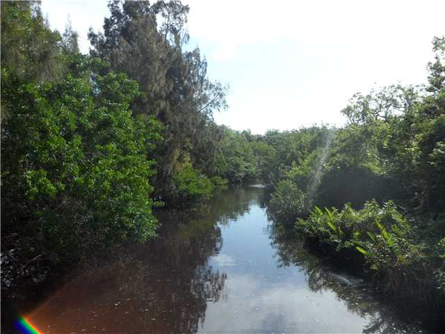 Valkaria Road Malabar, FL 32950 - Photo 8 of 8 a view of a lake with a forest