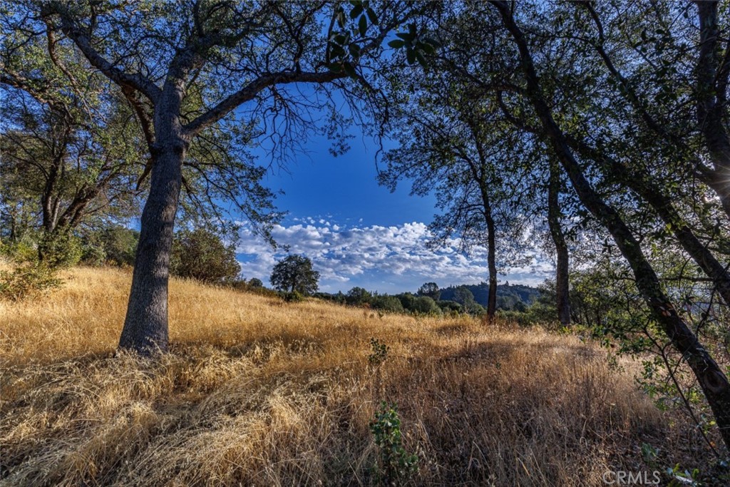 5604 Valley View Road Mariposa, CA 95338 - Photo 1 of 1 Gallery Image 1