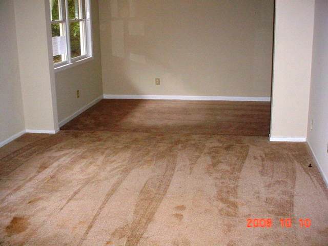 1004 Mcfalls Circle Anderson, SC 29621 - Photo 3 of 4 Gallery Image 3