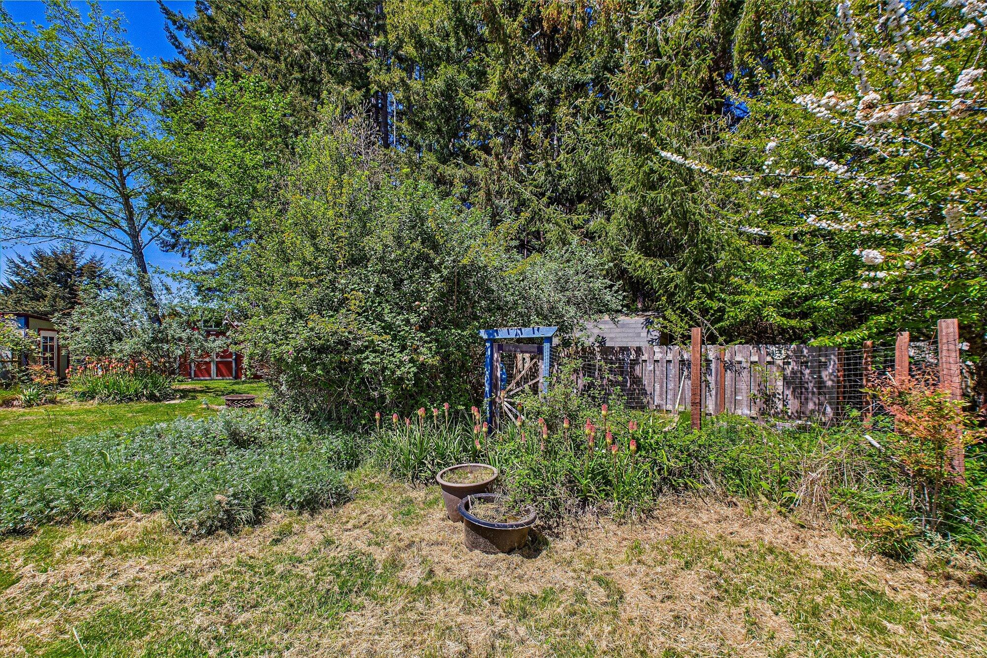 1945 Grange Road McKinleyville, CA 95519 - Photo 50 of 62 a view of a garden with potted plants and large trees