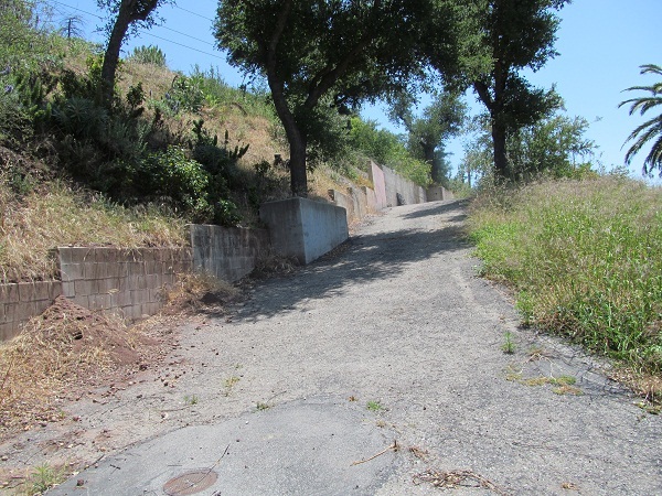 999 Coyote Road Santa Barbara, CA 93108 - Photo 3 of 12 a view of a yard with plants and trees