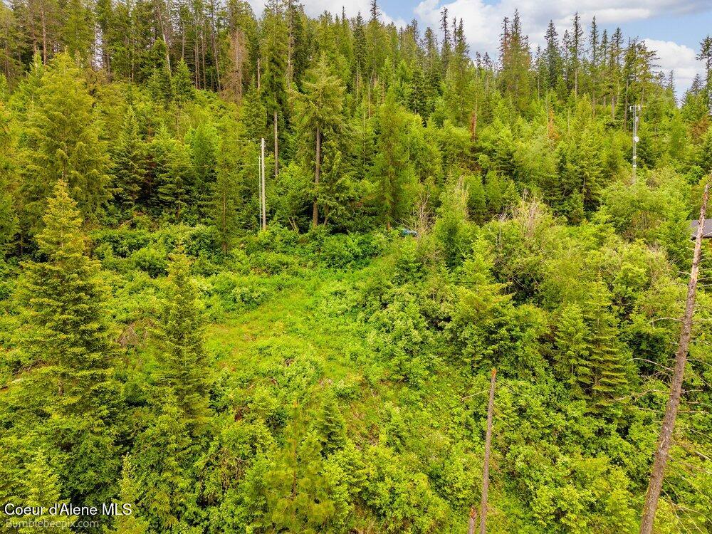 Nna South Powderhorn Bay Road Harrison, ID 83833 - Photo 18 of 30 019_bb193643-19_447
