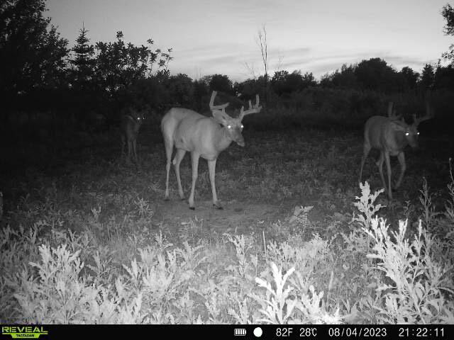 14501 Howard Road Concord, MI 49237 - Photo 14 of 19 Howard9
