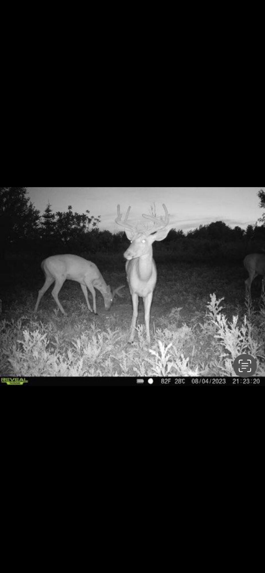 14501 Howard Road Concord, MI 49237 - Photo 15 of 19 IMG_1951