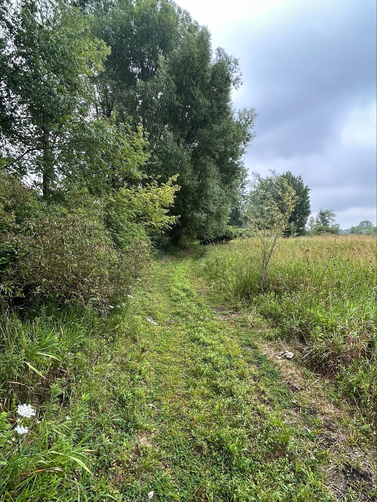 14501 Howard Road Concord, MI 49237 - Photo 18 of 19 Howards9