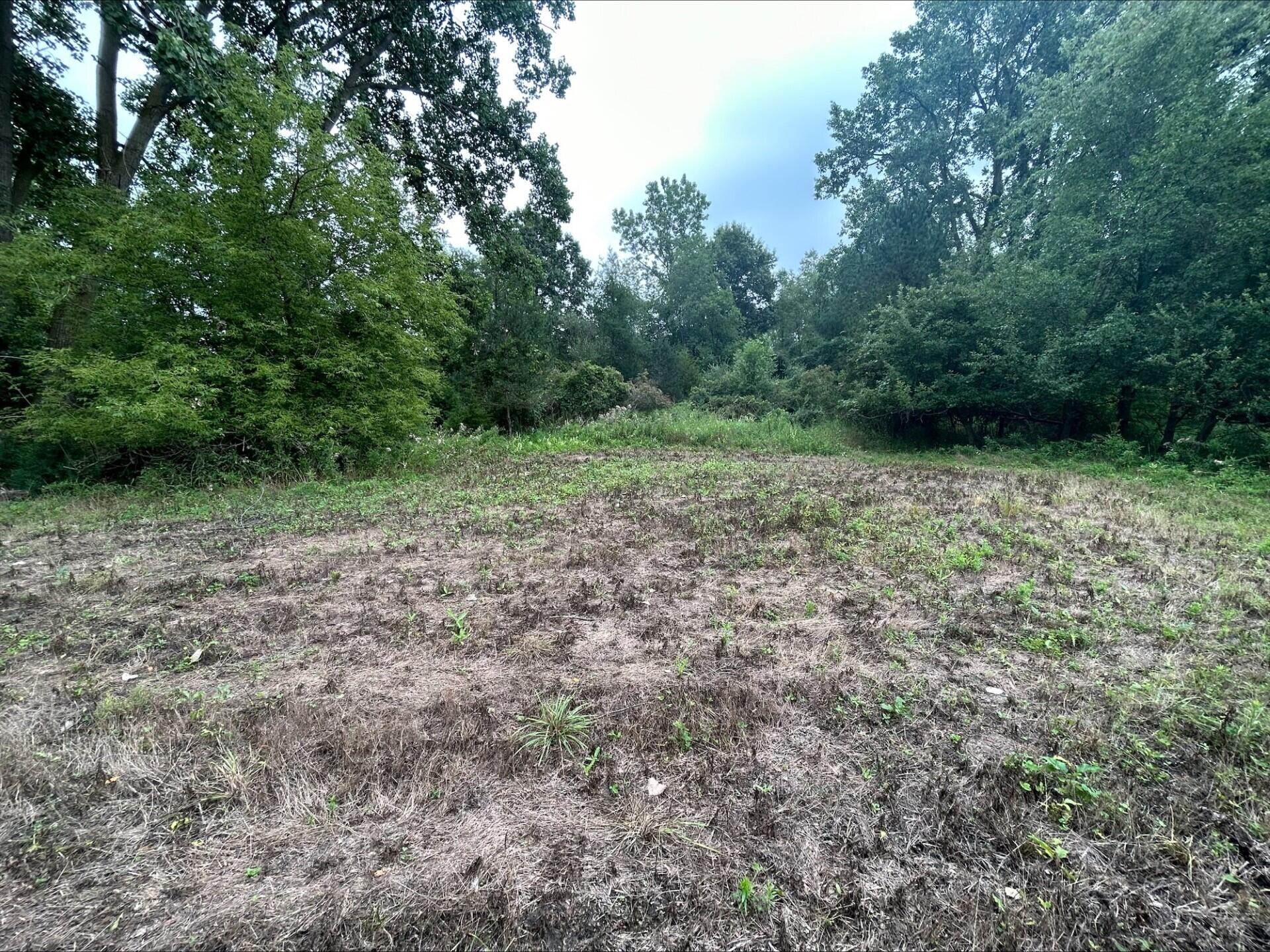 14501 Howard Road Concord, MI 49237 - Photo 19 of 19 Howards10