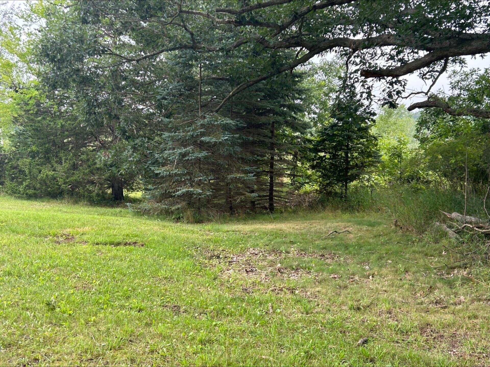 14501 Howard Road Concord, MI 49237 - Photo 10 of 19 Howards6