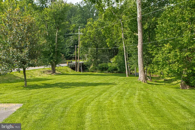 a view of a park with large trees