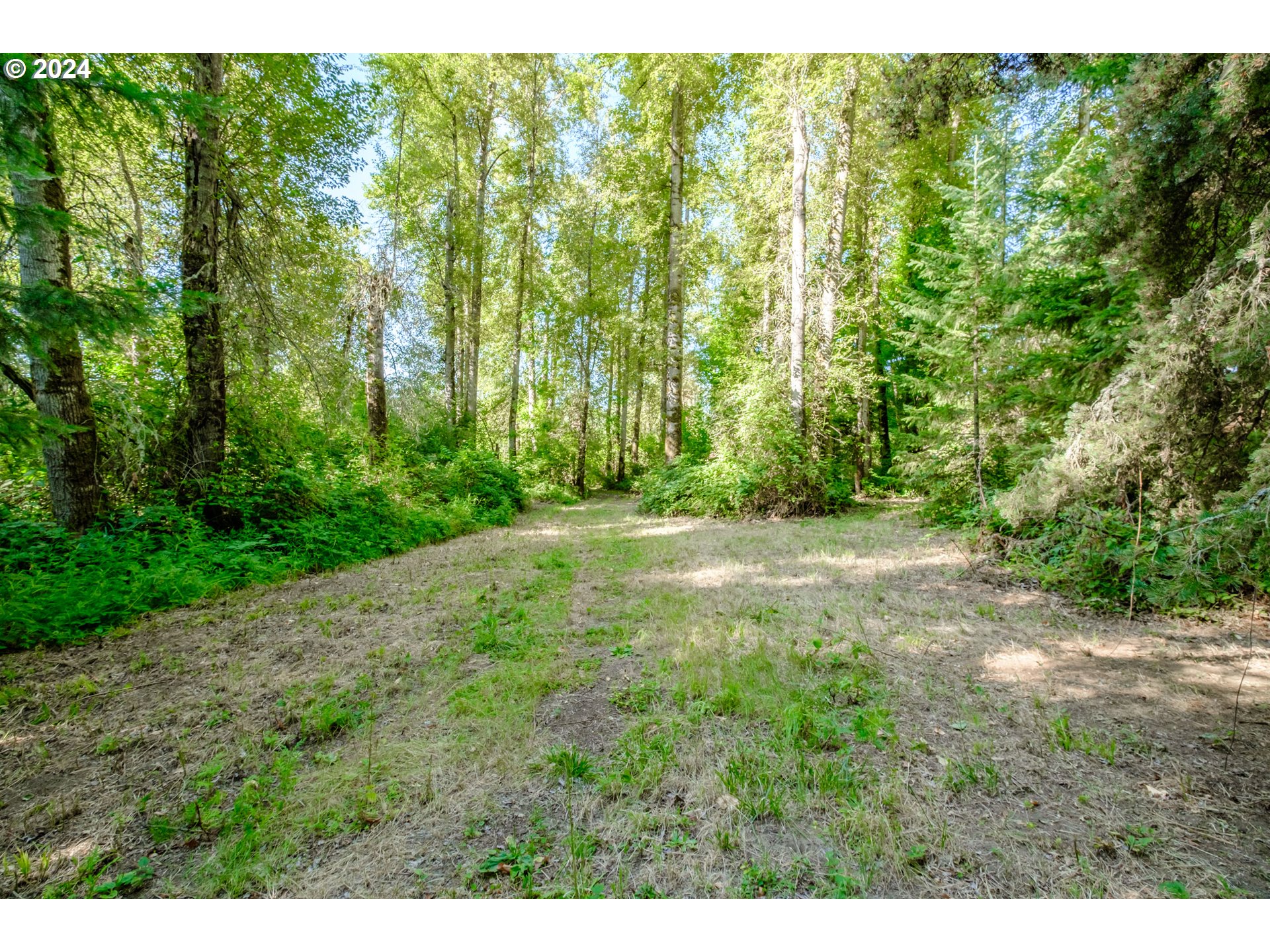 Matheny (lot 3) Road Salem, OR 97303 - Photo 14 of 25 a view of a yard with large trees