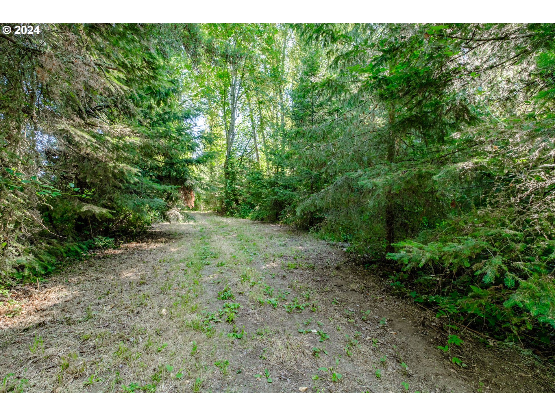 Matheny (lot 3) Road Salem, OR 97303 - Photo 15 of 25 a view of a yard with a tree