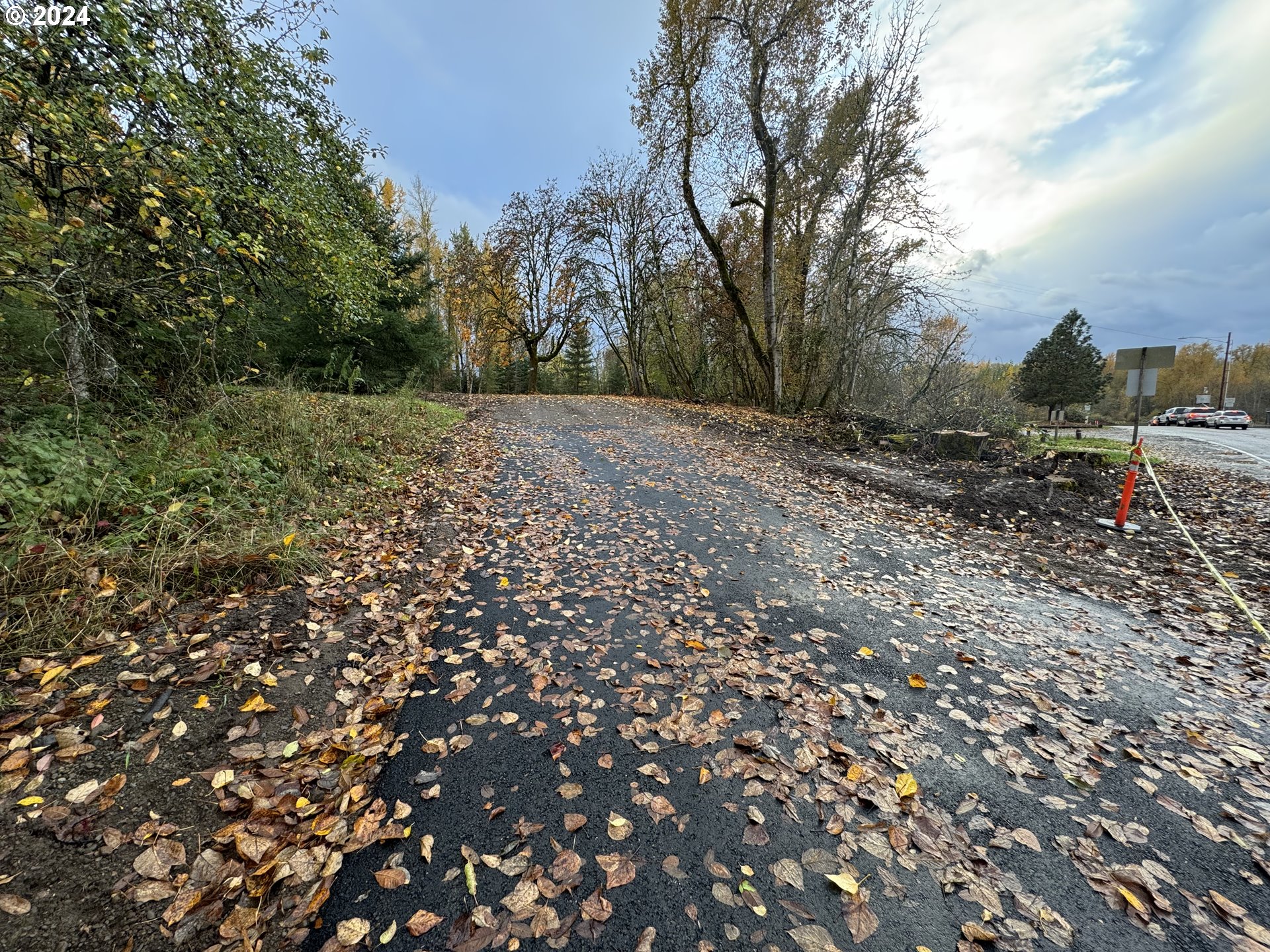 Matheny (lot 3) Road Salem, OR 97303 - Photo 16 of 25 a view of a yard with a tree