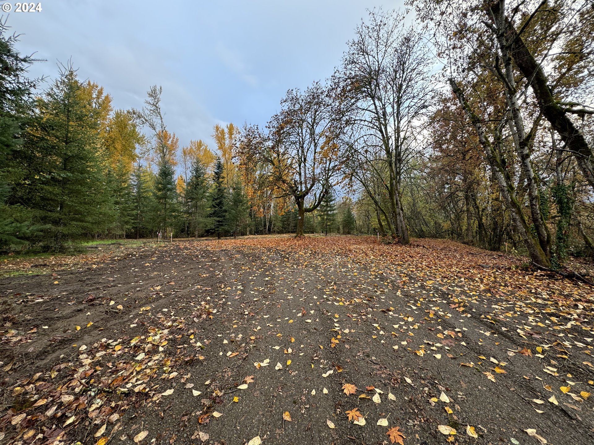 Matheny (lot 3) Road Salem, OR 97303 - Photo 17 of 25 a view of backyard with green space