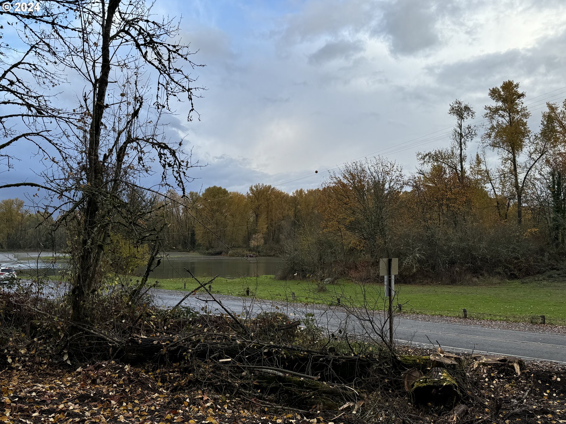 Matheny (lot 3) Road Salem, OR 97303 - Photo 18 of 25 a view of a yard with a tree