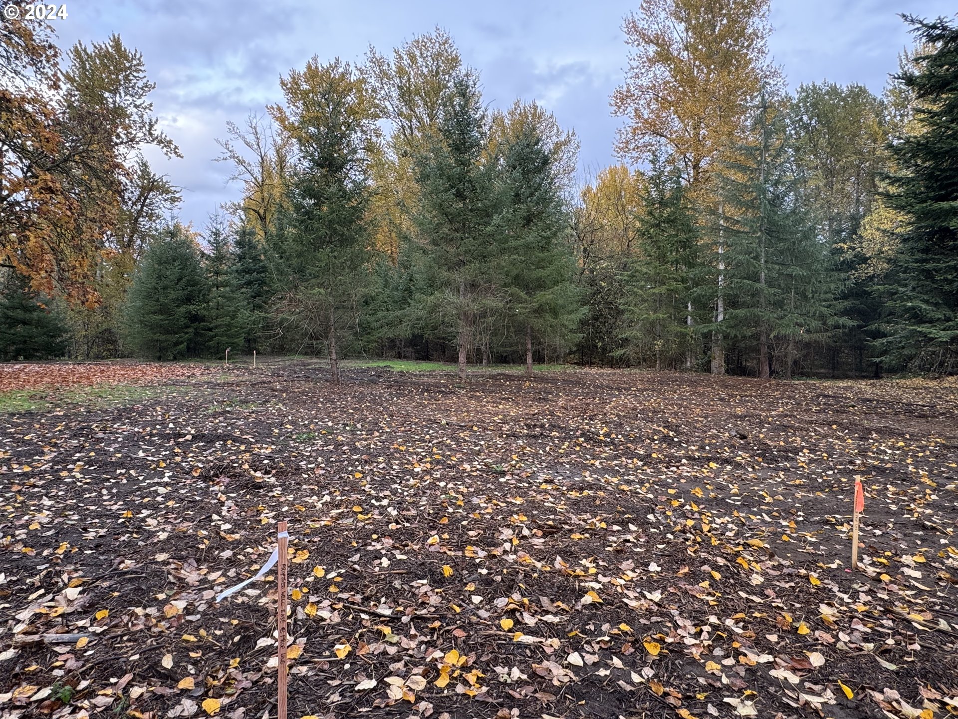 Matheny (lot 3) Road Salem, OR 97303 - Photo 21 of 25 a view of a field with trees in the background