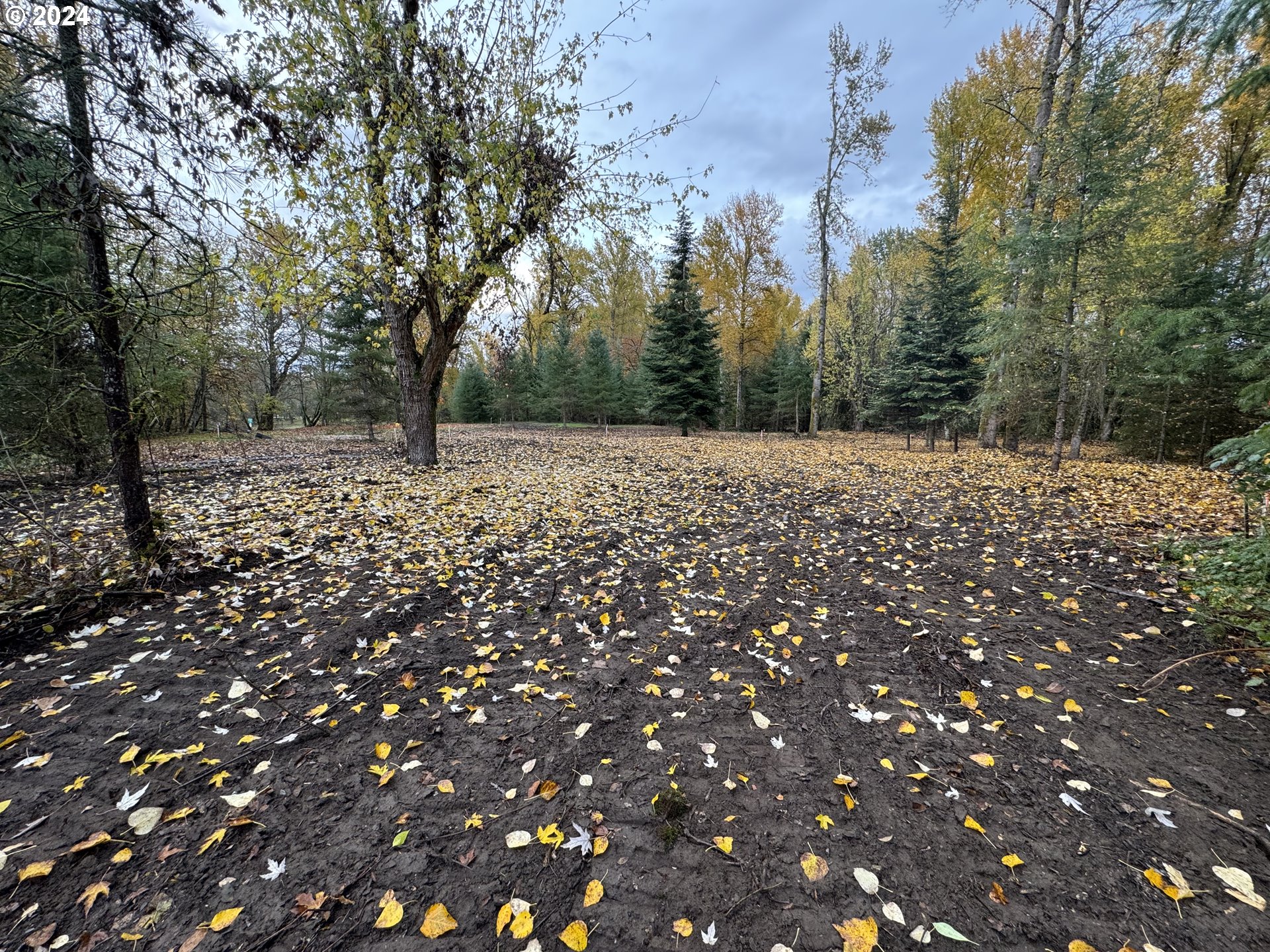 Matheny (lot 3) Road Salem, OR 97303 - Photo 23 of 25