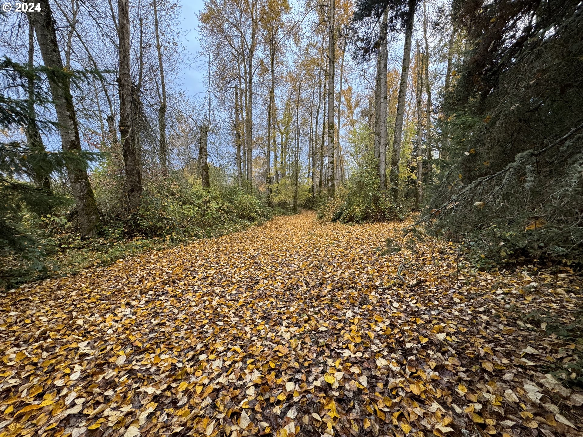 Matheny (lot 3) Road Salem, OR 97303 - Photo 25 of 25 a pathway of a yard