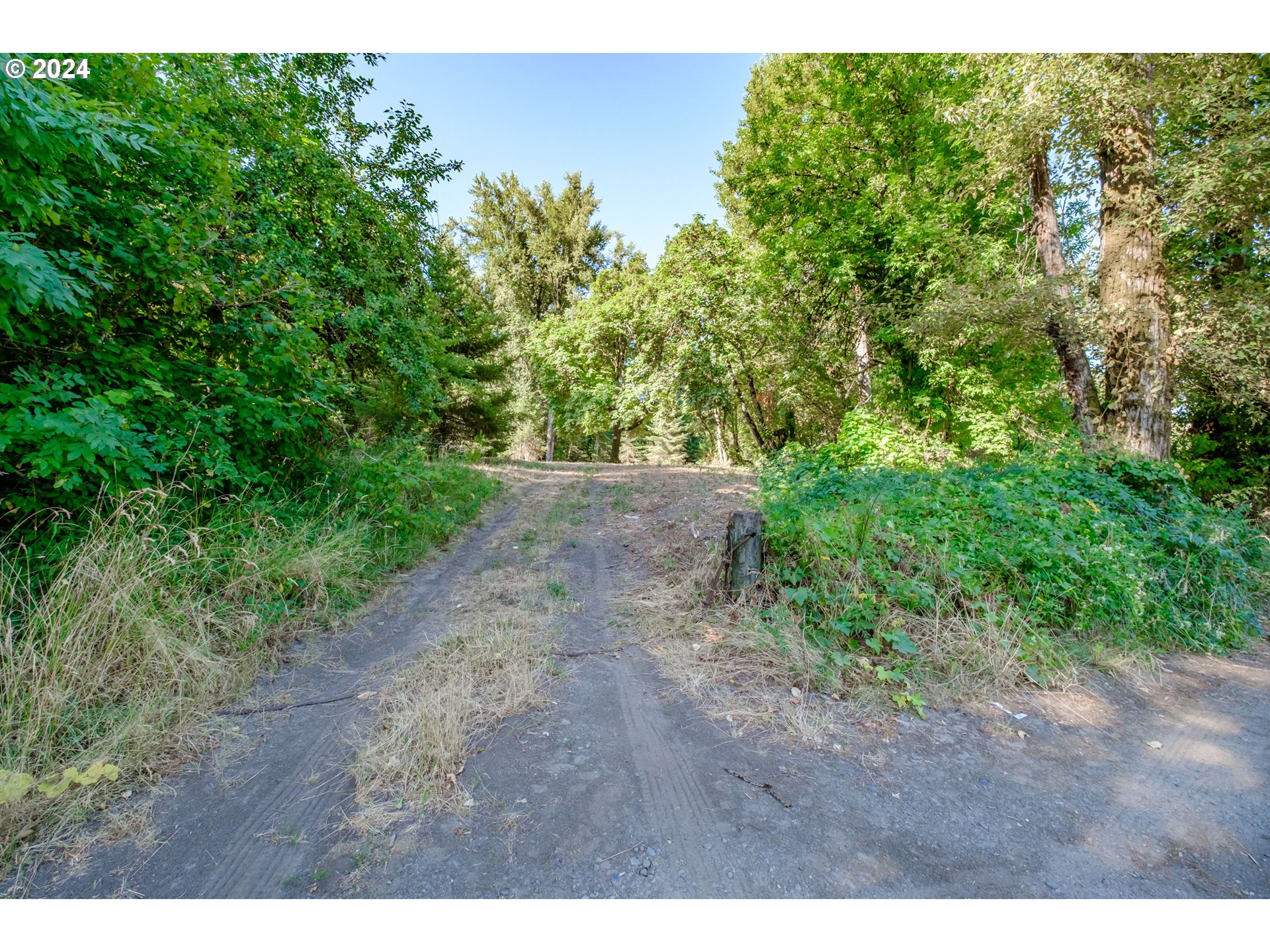 Matheny (lot 3) Road Salem, OR 97303 - Photo 3 of 25 a view of a dry yard with trees in front of it
