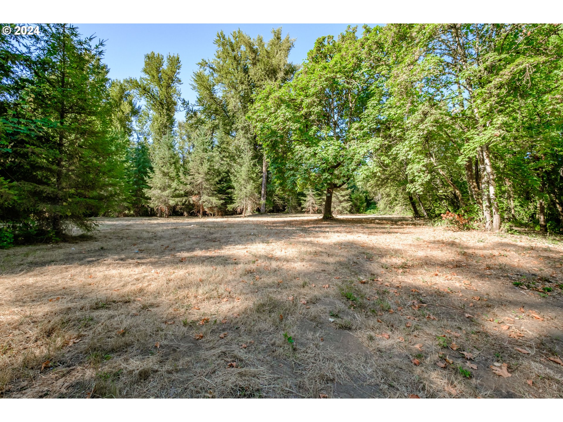 Matheny (lot 3) Road Salem, OR 97303 - Photo 4 of 25 a view of outdoor space with trees all around