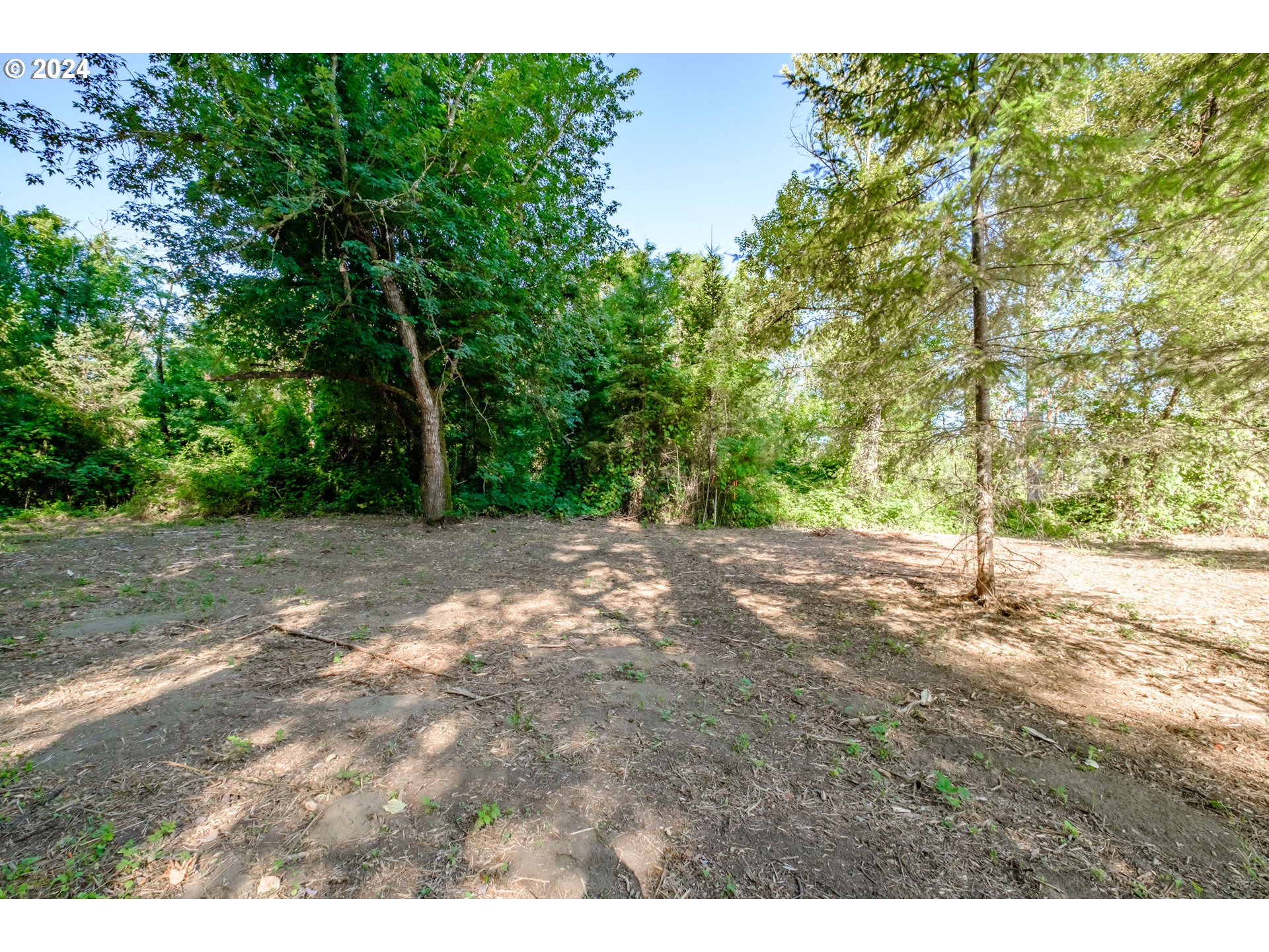 Matheny (lot 3) Road Salem, OR 97303 - Photo 8 of 25 a view of a yard with a tree