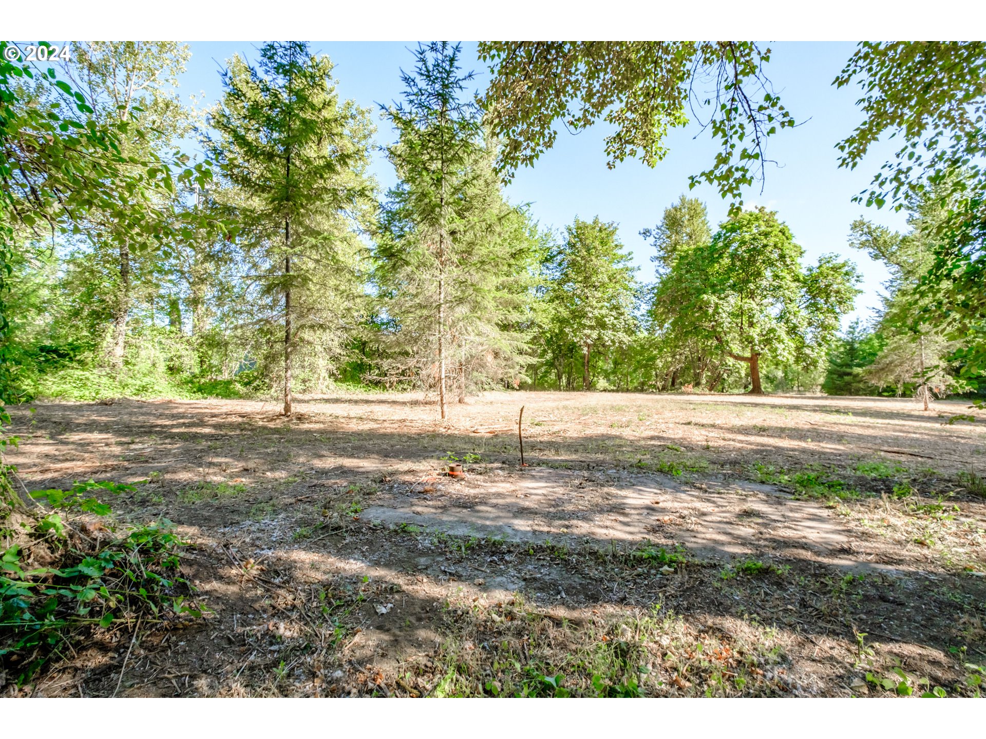 Matheny (lot 3) Road Salem, OR 97303 - Photo 9 of 25 a view of yard with green space