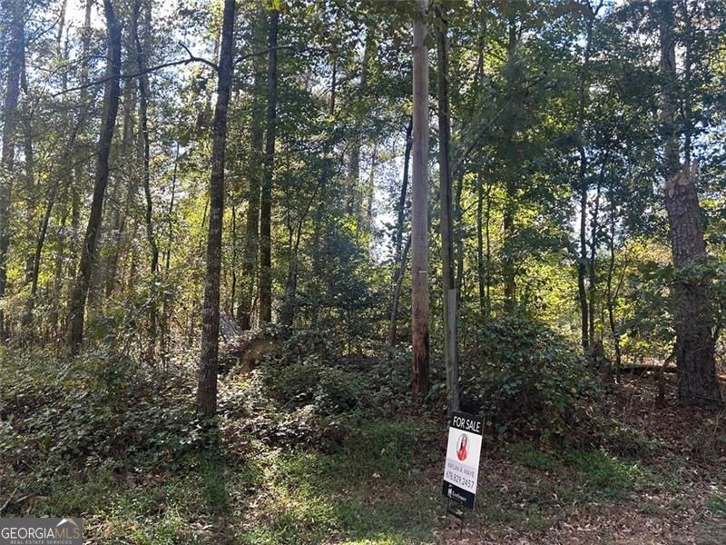 2930 Bonds Lake Road Northwest Conyers, GA 30012 - Photo 10 of 11