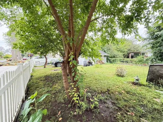 a view of a garden with a tree