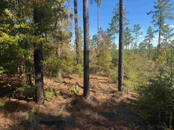 $50,000 | 94 Private Road 6028, Brookeland, TX 75931