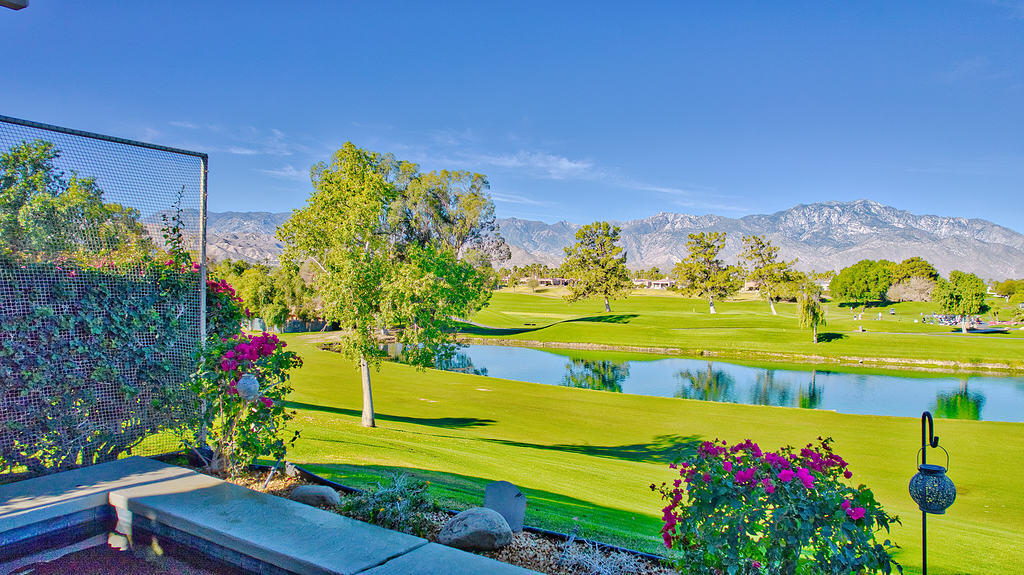 10 Colonial Drive Rancho Mirage, CA 92270 - Photo 5 of 25 a view of a swimming pool with a yard and plants