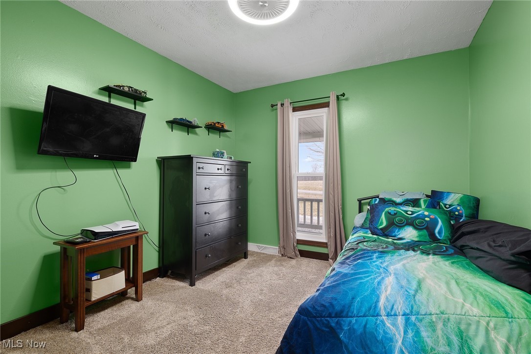 9812 Ruff Road West Salem, OH 44287 - Photo 20 of 49 Gallery Image 20