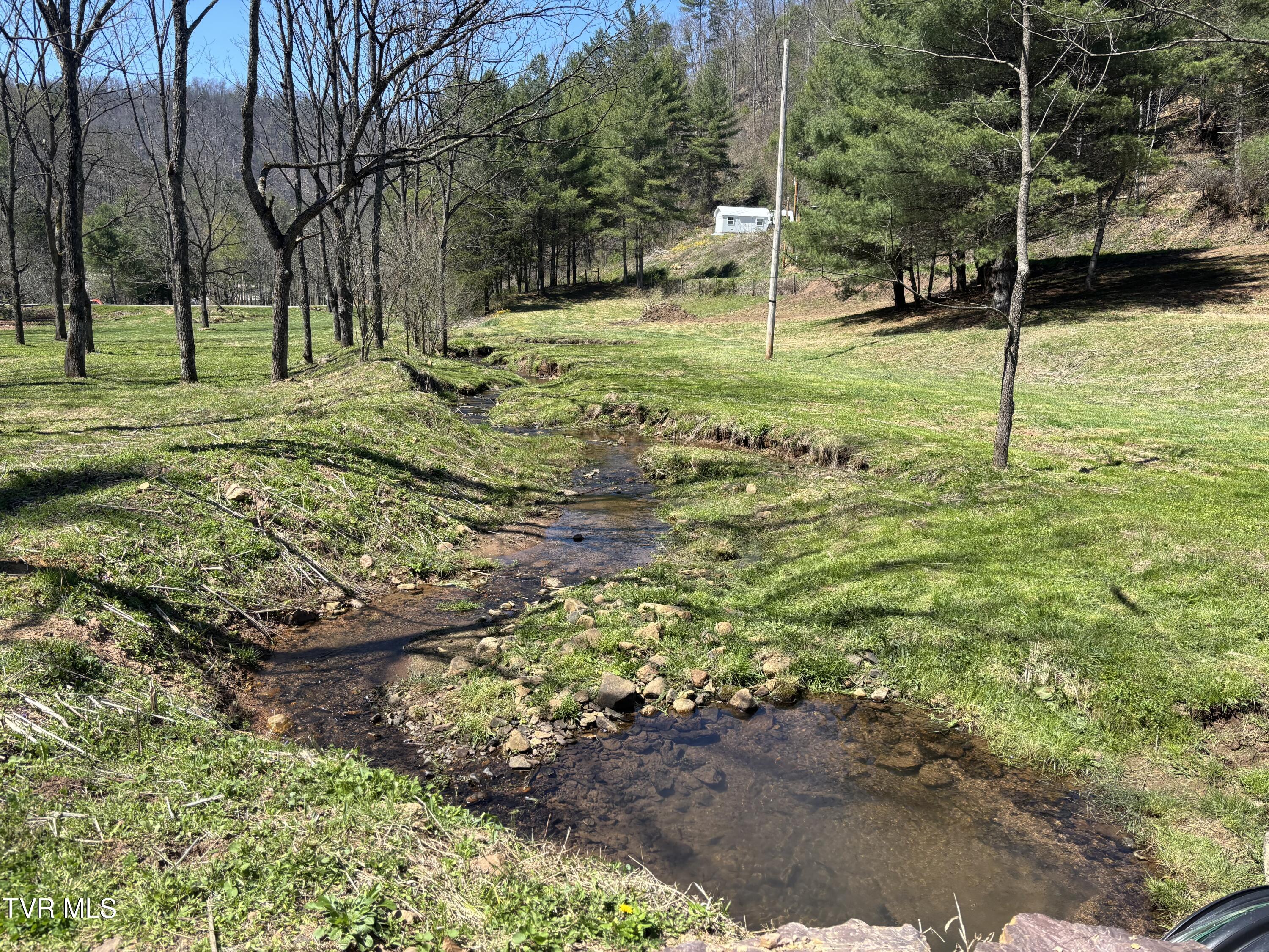0 Greer Branch Road Laurel Bloomery, TN 37680 - Photo 14 of 16 IMG_5359