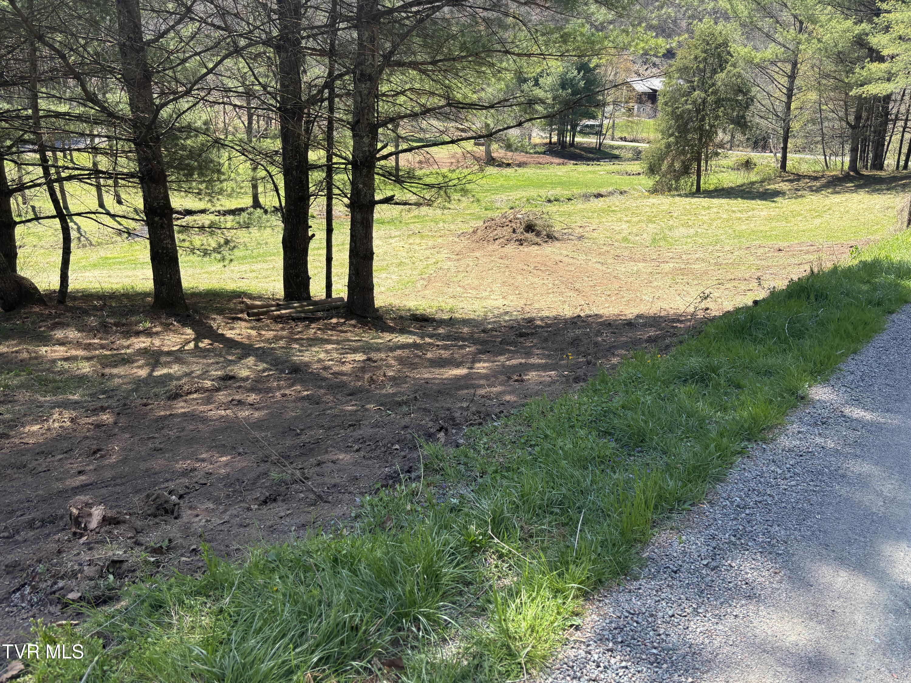 0 Greer Branch Road Laurel Bloomery, TN 37680 - Photo 16 of 16 IMG_5361