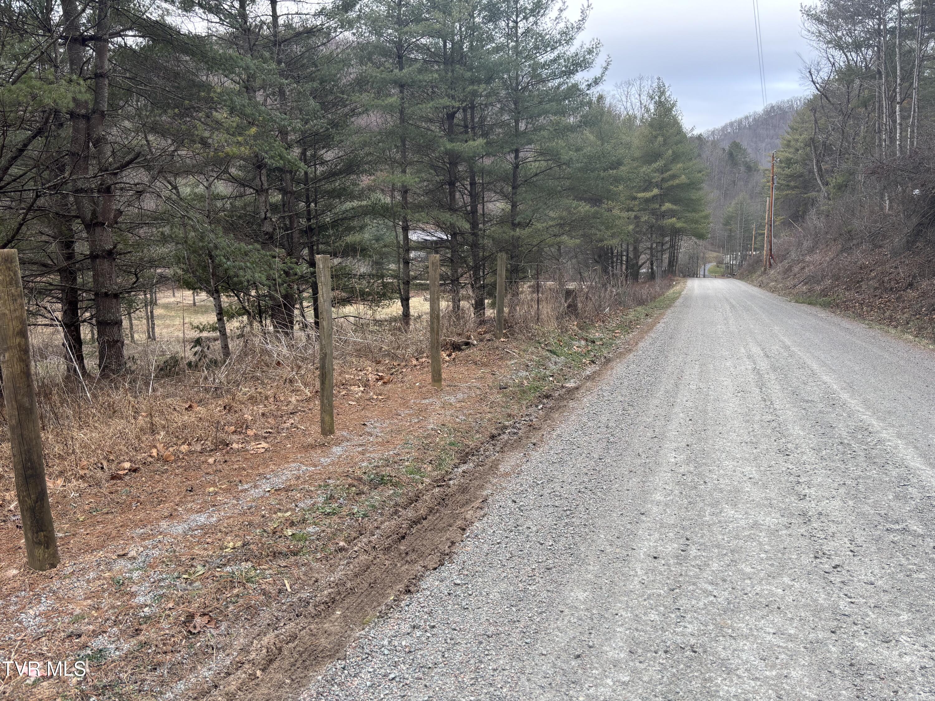 0 Greer Branch Road Laurel Bloomery, TN 37680 - Photo 2 of 9 IMG_5169