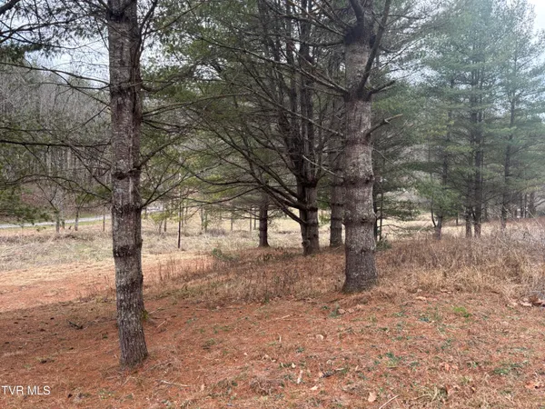 $40,000 | 0 Greer Branch Road, Laurel Bloomery, TN 37680