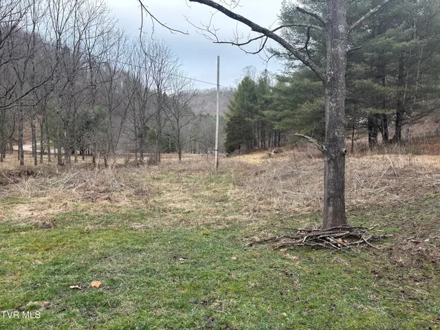 $40,000 | 0 Greer Branch Road, Laurel Bloomery, TN 37680