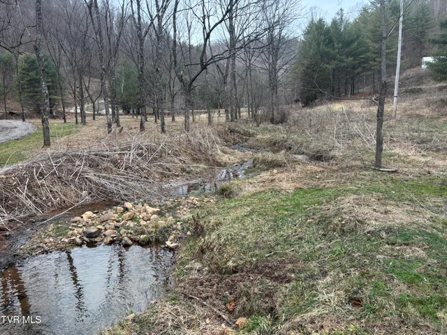 $40,000 | 0 Greer Branch Road, Laurel Bloomery, TN 37680