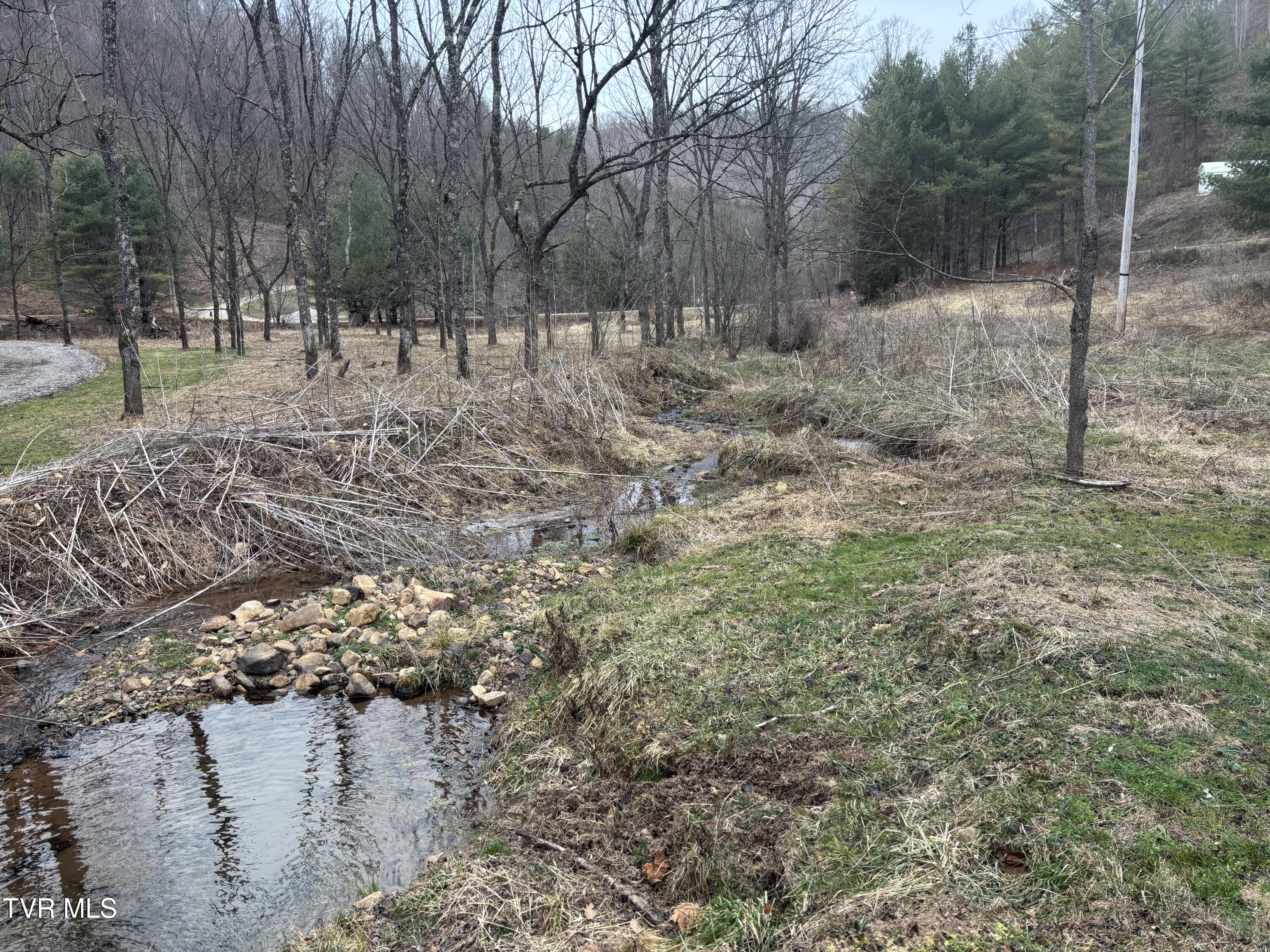 0 Greer Branch Road Laurel Bloomery, TN 37680 - Photo 5 of 9 IMG_5172