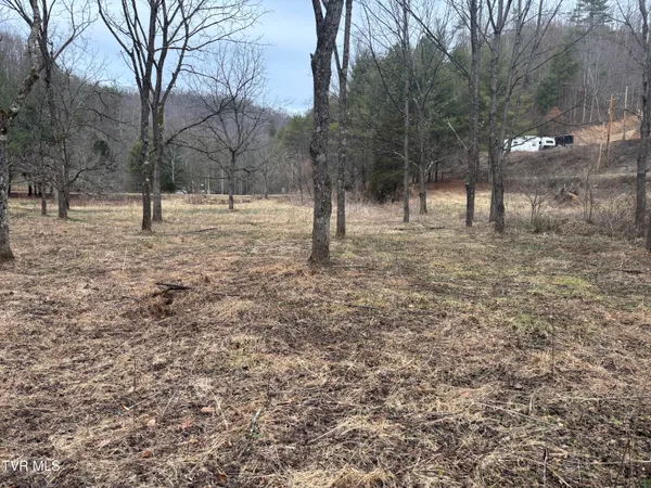 $40,000 | 0 Greer Branch Road, Laurel Bloomery, TN 37680