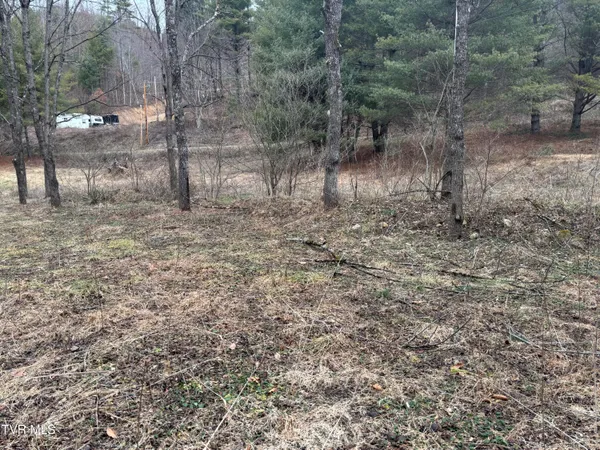 $40,000 | 0 Greer Branch Road, Laurel Bloomery, TN 37680