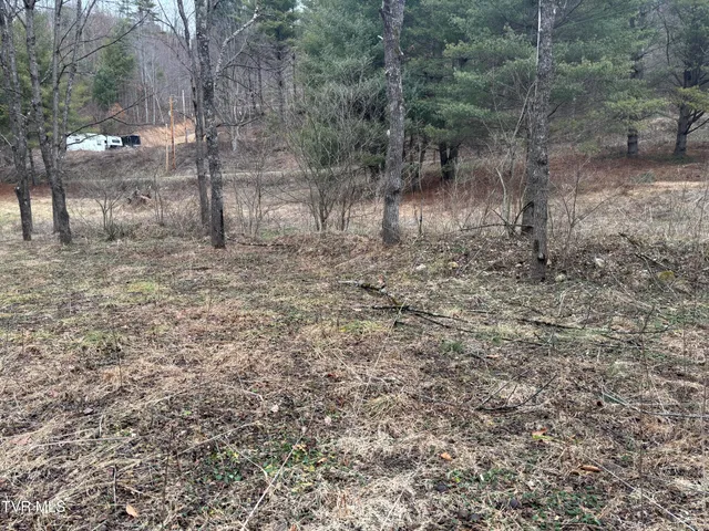 $40,000 | 0 Greer Branch Road, Laurel Bloomery, TN 37680