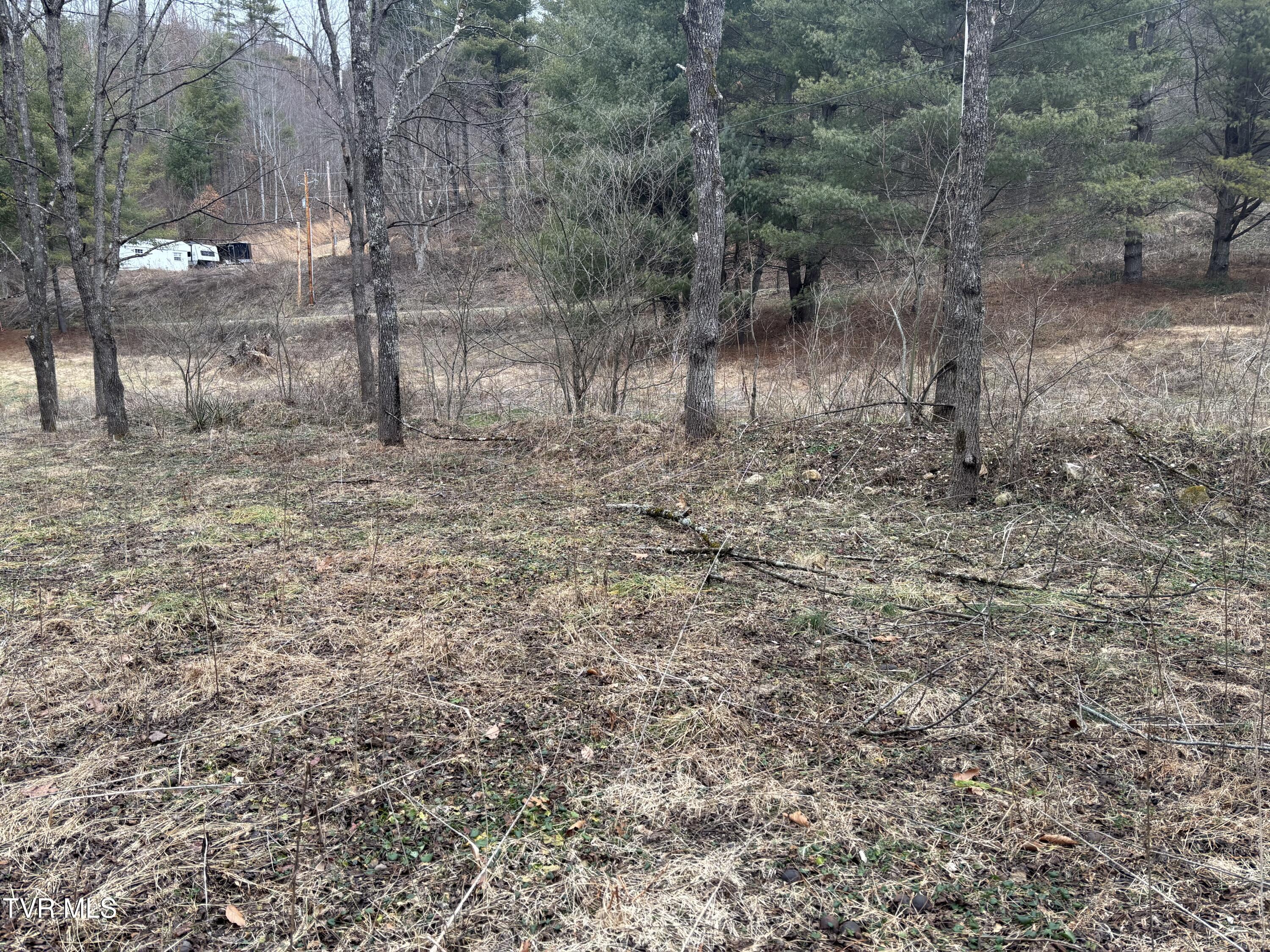 0 Greer Branch Road Laurel Bloomery, TN 37680 - Photo 7 of 9 IMG_5174