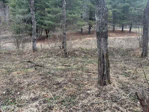 $40,000 | 0 Greer Branch Road, Laurel Bloomery, TN 37680