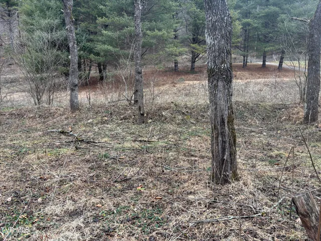 $40,000 | 0 Greer Branch Road, Laurel Bloomery, TN 37680