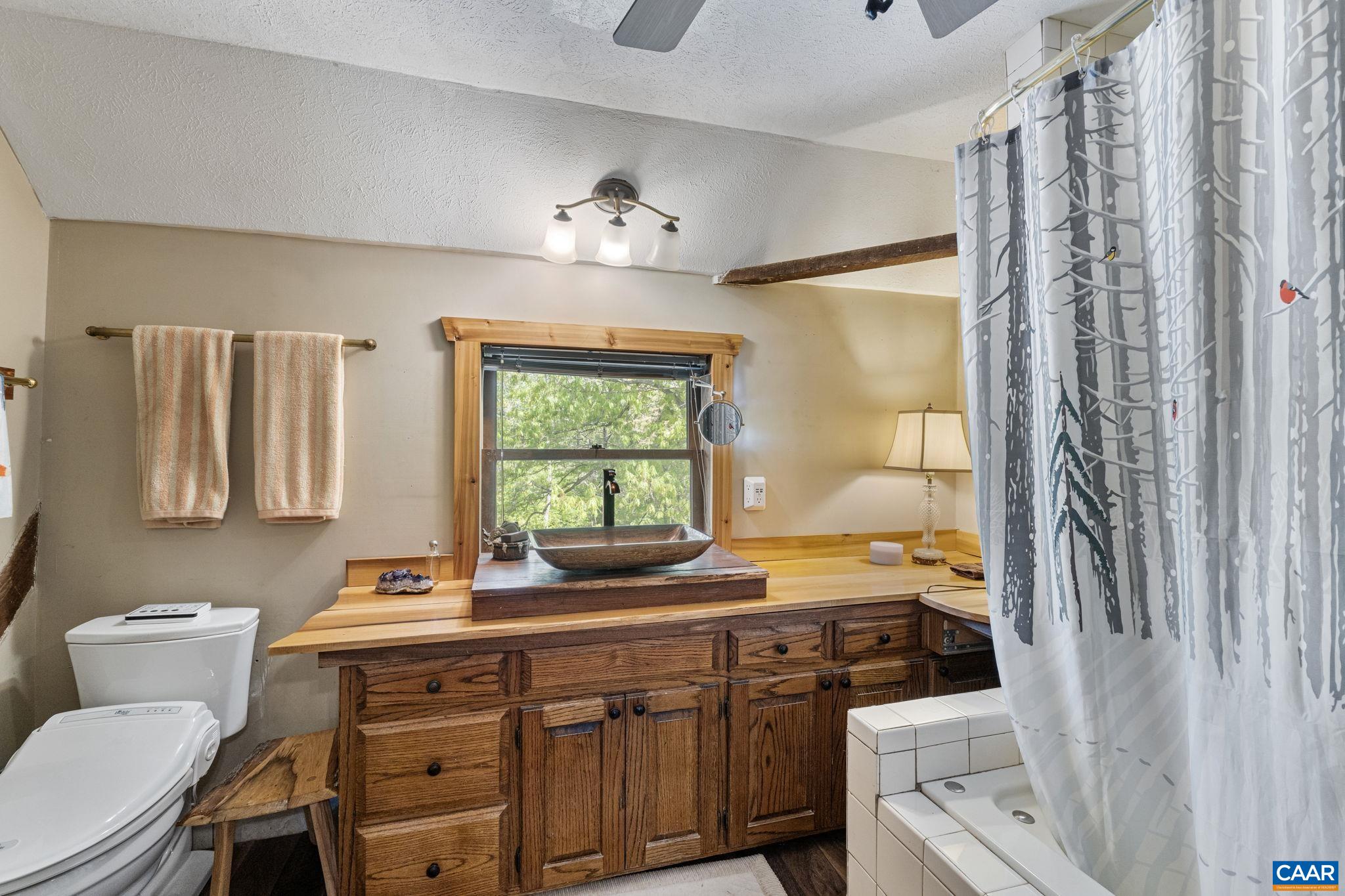 1407 Chapman Road Stanardsville, VA 22973 - Photo 46 of 75 Gallery Image 46
