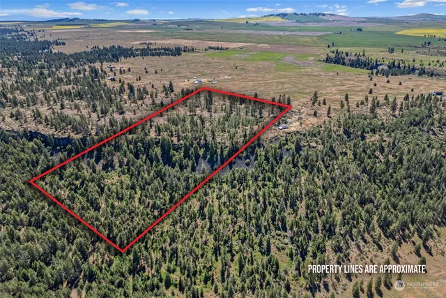 a view of a street with a ocean view