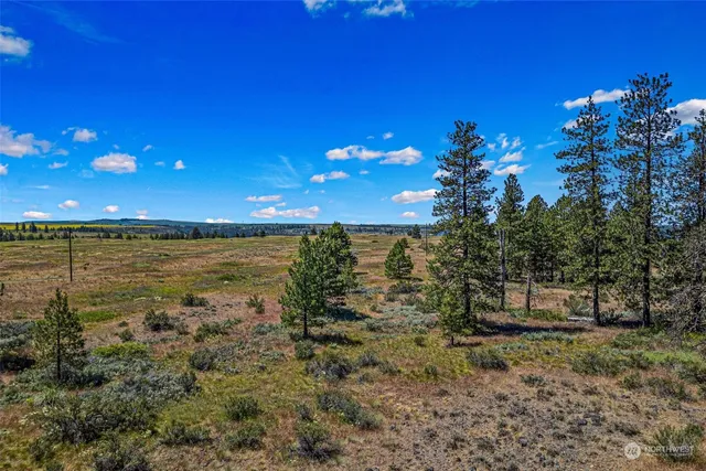 a view of a lake view