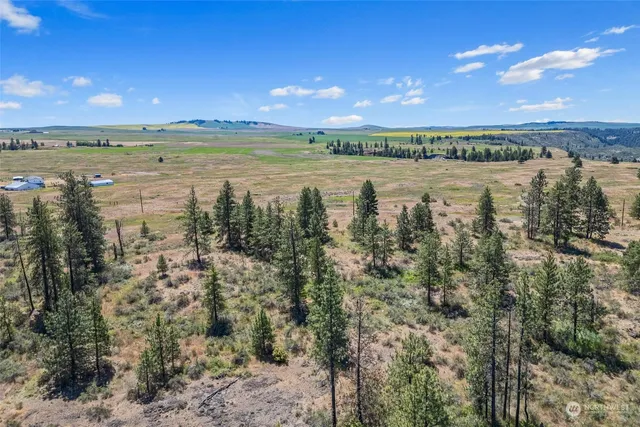 a view of a lake and outdoor space