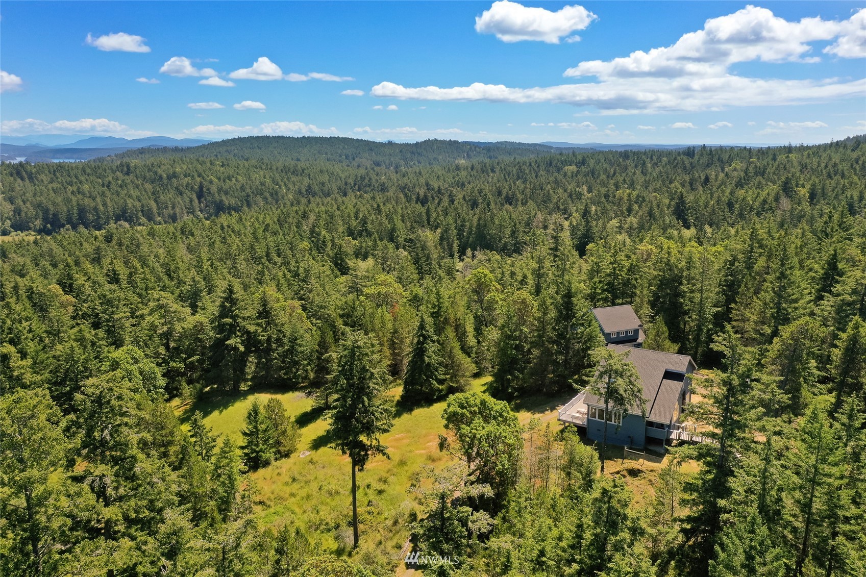 338 Sunrise Ridge Road San Juan Island, WA 98250 - Photo 22 of 39 a view of a city with lush green forest