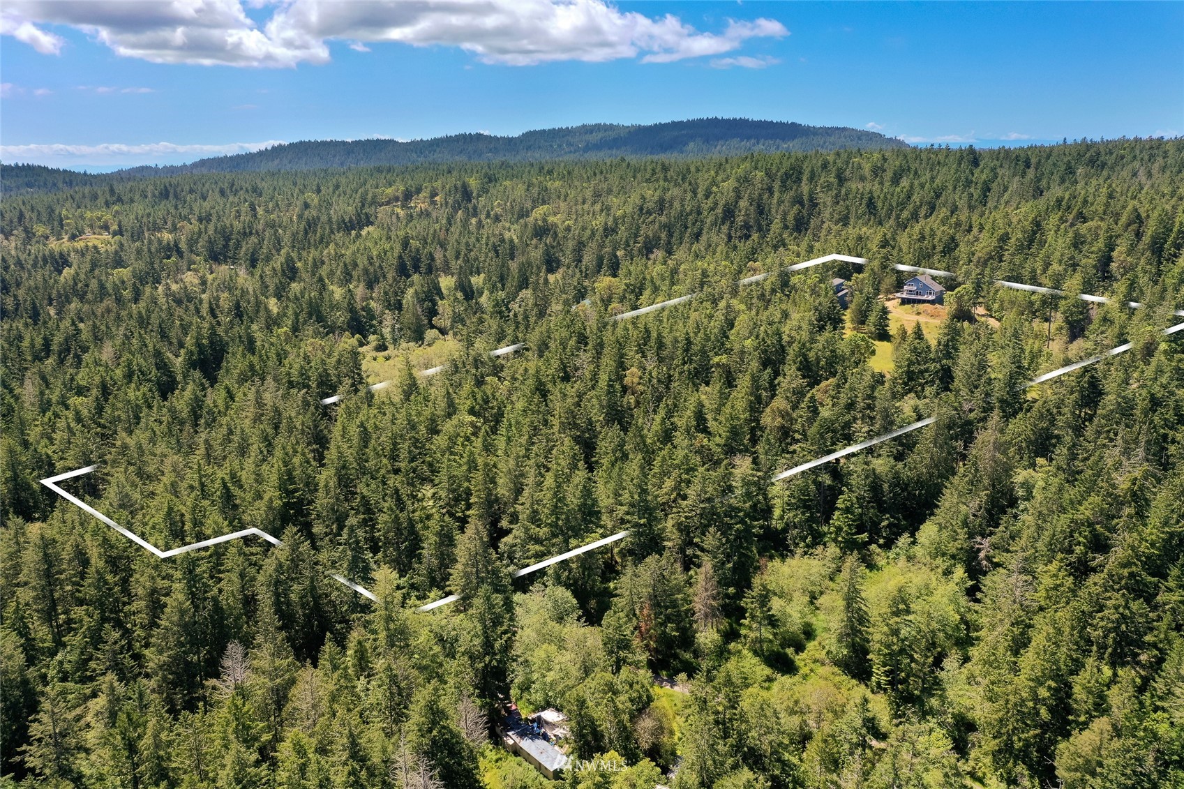 338 Sunrise Ridge Road San Juan Island, WA 98250 - Photo 3 of 39 a view of a city with lush green forest